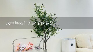 水电热毯什么牌子的最好