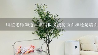 哪位老师知道，彩钢板房按房顶面积还是墙面面积？价格是多少？滨州地区的，谢谢！