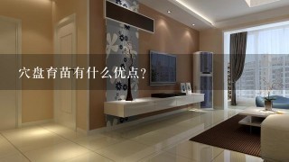 穴盘育苗有什么优点？