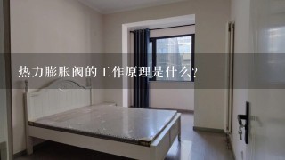 热力膨胀阀的工作原理是什么?