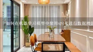 如何在机器学习模型中使用sp1来进行数据增强?