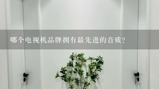 哪个电视机品牌拥有最先进的音质?