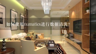 如何使用numatics进行数据清洗?