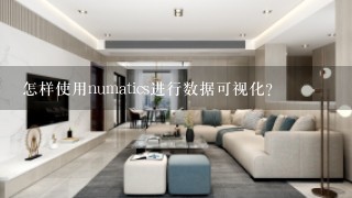 怎样使用numatics进行数据可视化?